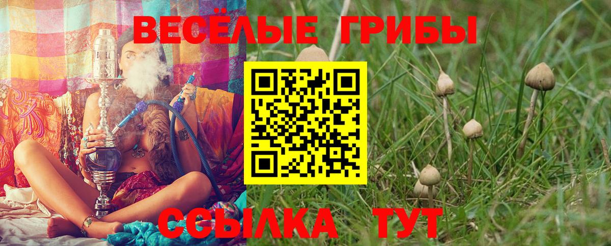 Псилоцибиновые грибы прущие грибы  Псилоцибиновые грибы MAGIC MUSHROOMS  магазин  наркотиков  Вход с VPN  Кизилюрт 