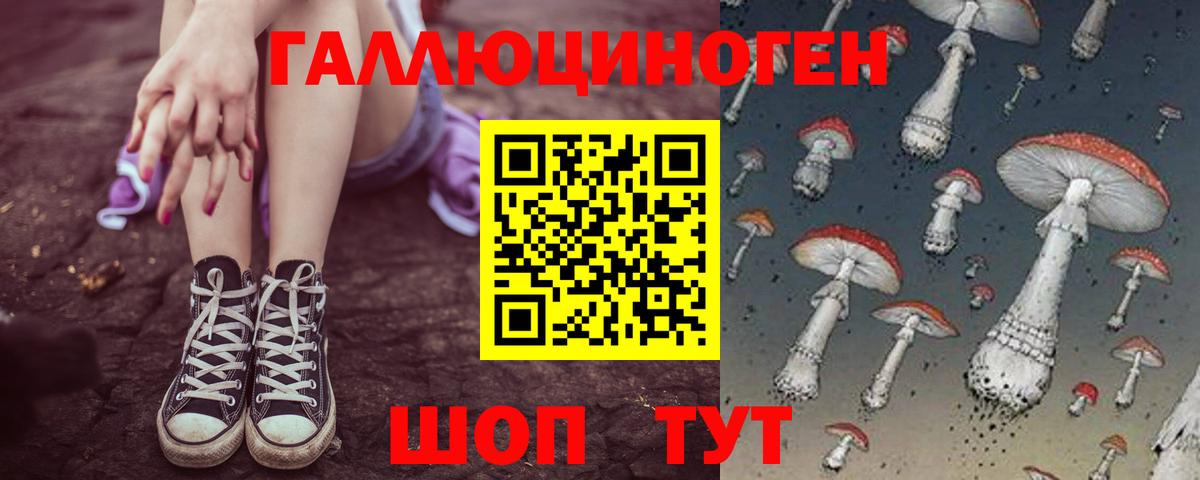 Alpha PVP Кизилюрт